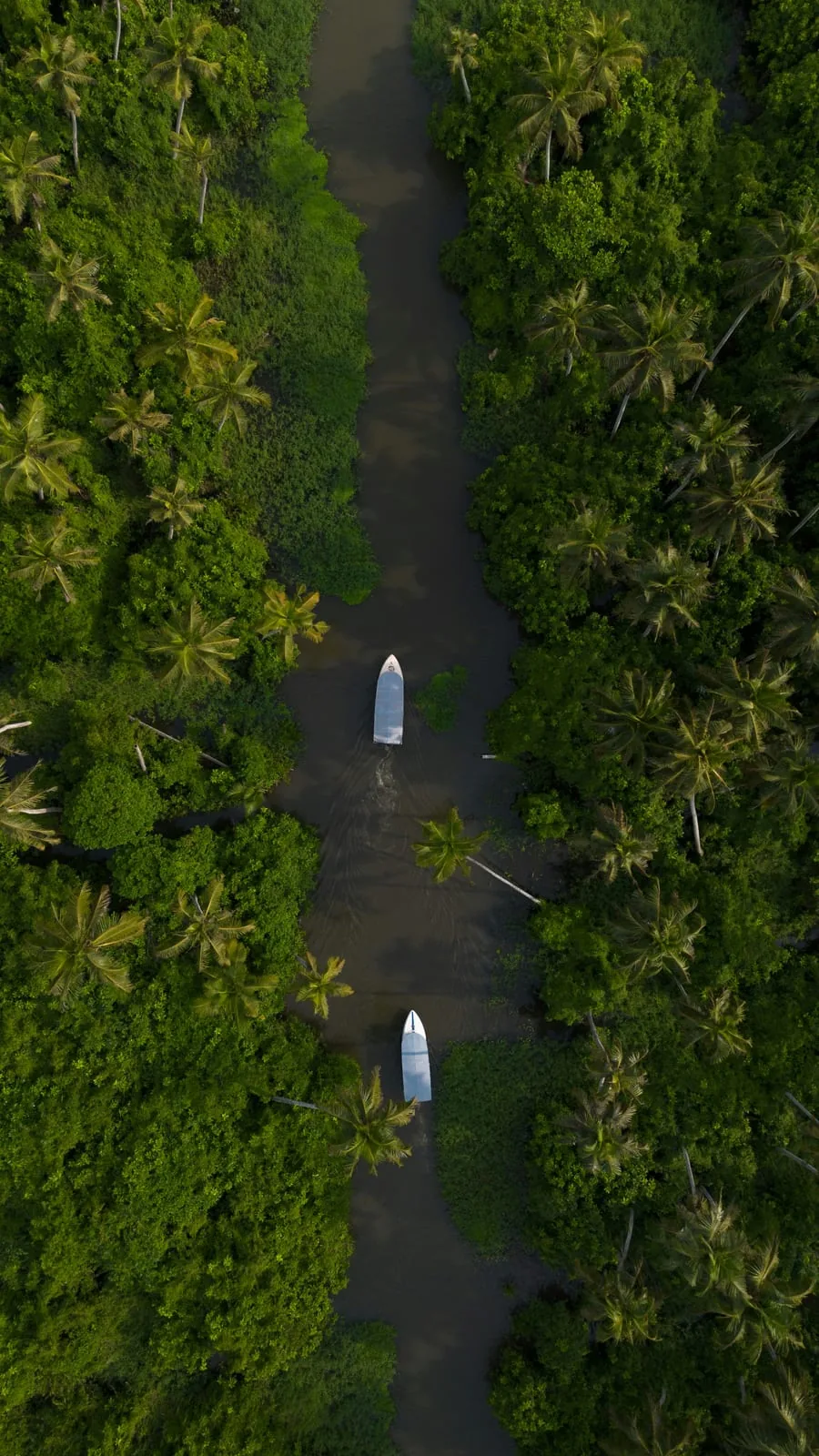 Alleppey