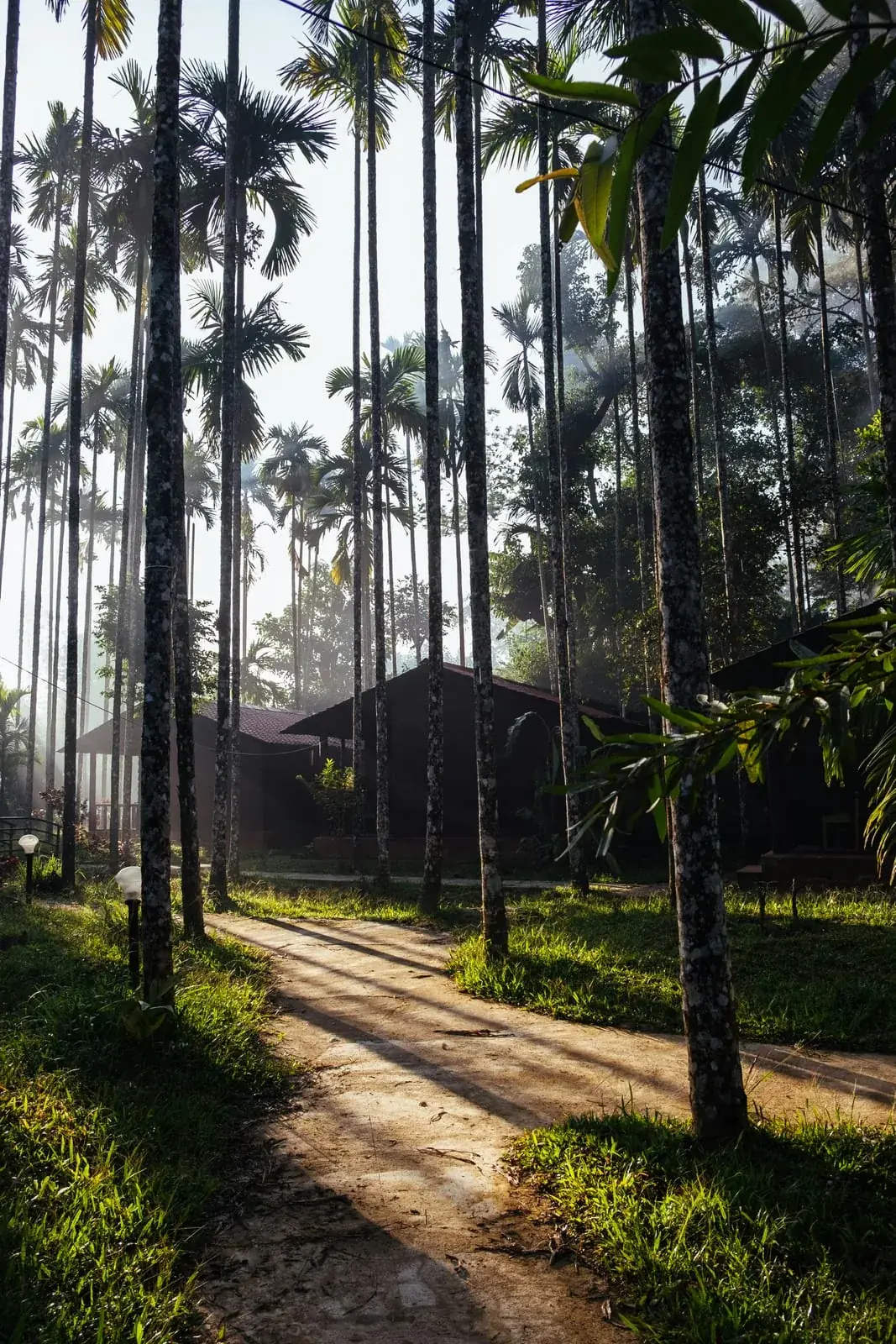 Coorg