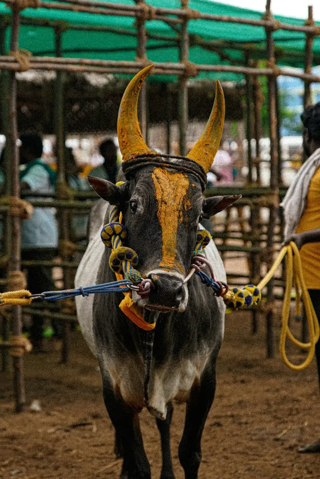 Madurai