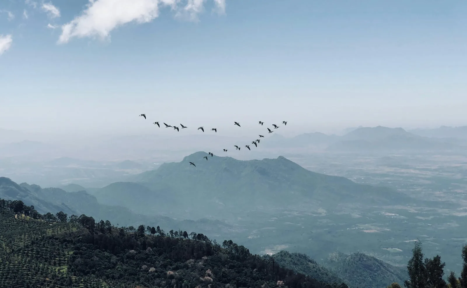 Misty Western Ghats Hill Station - Veron's Holidays