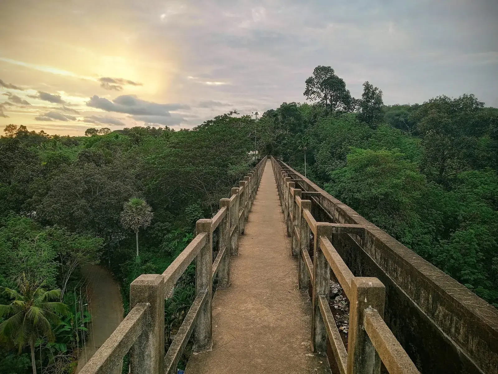 Beyond the Guidebooks: The Hanging Aqueduct of Mathoor & Secret Kanyakumari Backroads